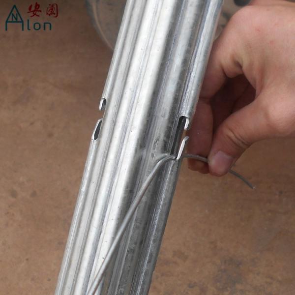 10FT 120G Zinc Coated Orchard Grape Vine Posts Easily Assembled Eco Friendly