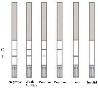 Tylosin Rapid Test Strip Milk No Cross Reaction