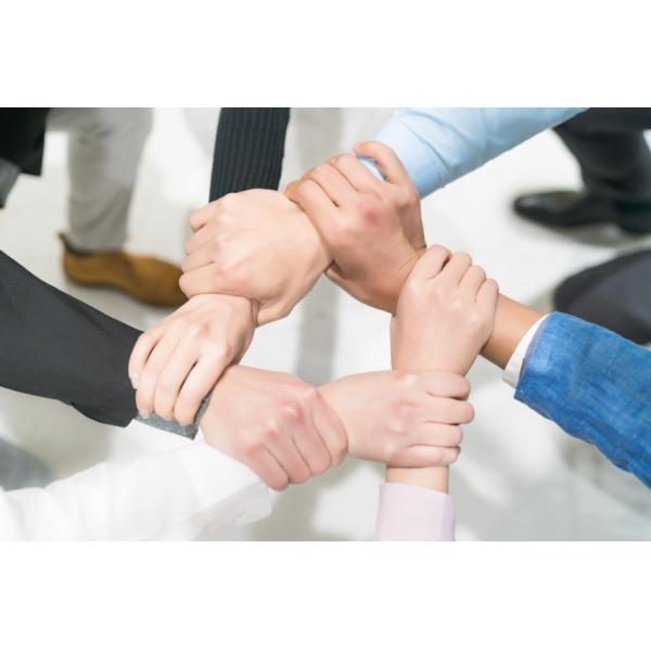 Xi'an JW Import & Export Co.,Ltd