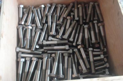 UNS S32205 Duplex 2205 Stainless Steel Hex Bolts M6 - M64 DIN960 ISO9001