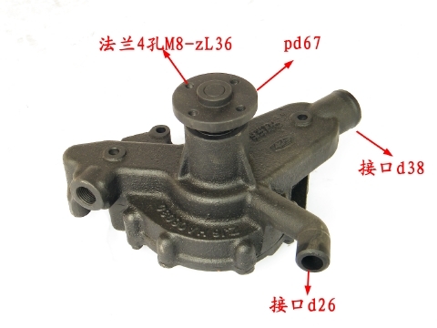 4100GB-06.01 Water Pump Assembly For YN4100