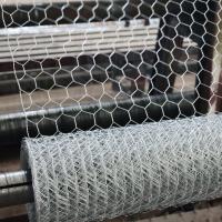 Malla de alambre hexagonal galvanizada de 2'' para pollos, conejos y aves de corral