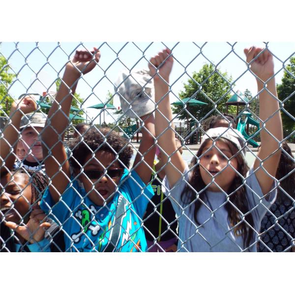 50mm x 50mm hurricane Fence Supplier ,Hot Dipped Galvanized ,Hurricane Chain Wire Fence