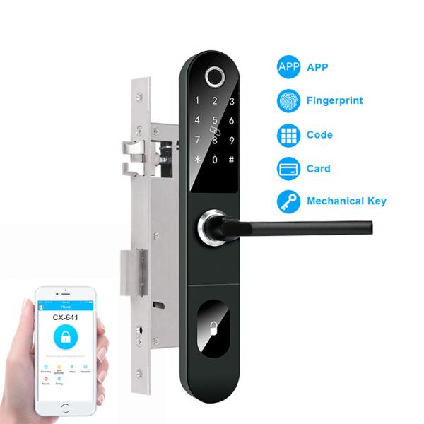 WIFI Gateway Fingerprint Intelligent Door Lock For Aluminum Door