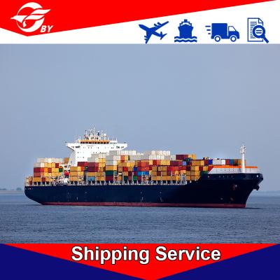 Serviços de entrega Ningbo do frete de mar DDP a Tacoma Denver San Antonio