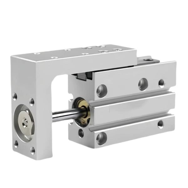 Compact SLS-6-25-P-A 170489 FESTO Double Acting Ball Cage Guide Slide Cylinder Suitable For Cleanroom Medical Equipment