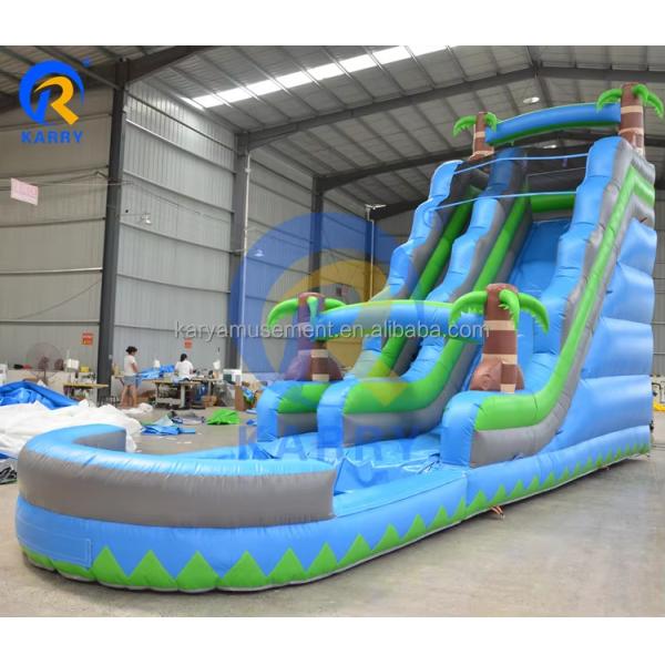 Customized Inflatable Pool Slides for Outdoor Large Party Rental CE/ROSE Certified