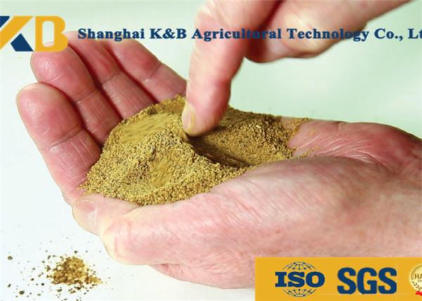 Low Phosphorus Content High Protein Fish Meals for Safe Cargo Transport