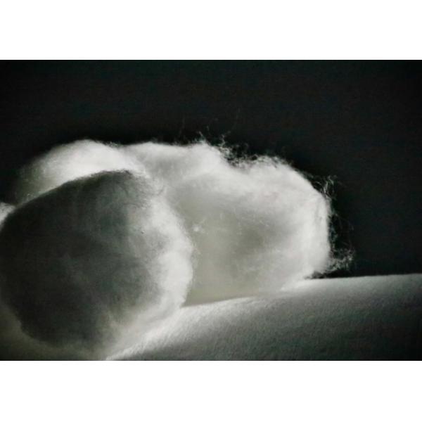 Sterilization 0.5g/Pcs CE FDA Medical Cotton Balls