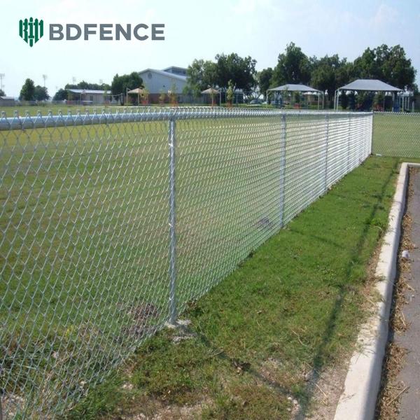 Airport Grade Chain Link Fence Wildlife Deterrent