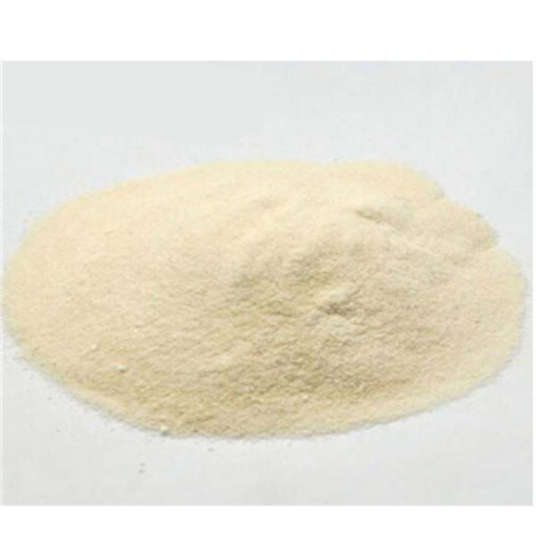Wholesale Nutrition Muscle Building 100% Healthcare Supplement Organic Vegan Protein Powder