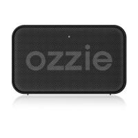 El estéreo Bajo Bluetooth Speaker IPX7 de HD impermeabiliza el pelado dual de Bluetooth 5,0