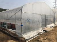Longue durée de vie PE PO Film en plastique enroulé jusqu'à ventilation tunnel serres pour l'agriculture