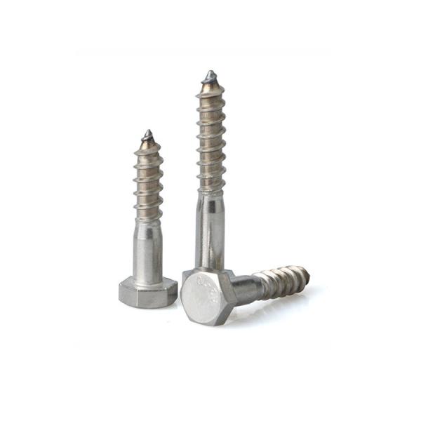 DIN 571 Hexagon Head Wood Screws 316L Stainless Steel Coach Screws