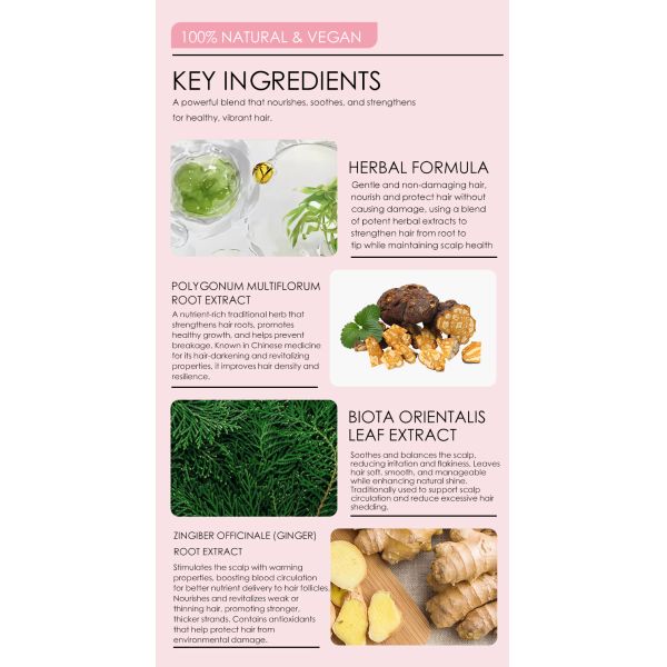 Ensemble de teinture capillaire végétale pour hommes et femmes, permanente, sans ammoniaque, pour la maison