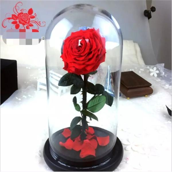 Preserved rose in glass terrariums with base for luxury gifts