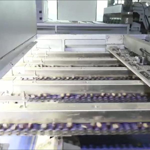 304 Stainless Steel Deep-learning Chestnut Sorting Machine: Robust, Durable, Continuous Learning