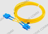 Corde de correction de Sc RPA 3.0mm 10m Duplex Fiber Optic