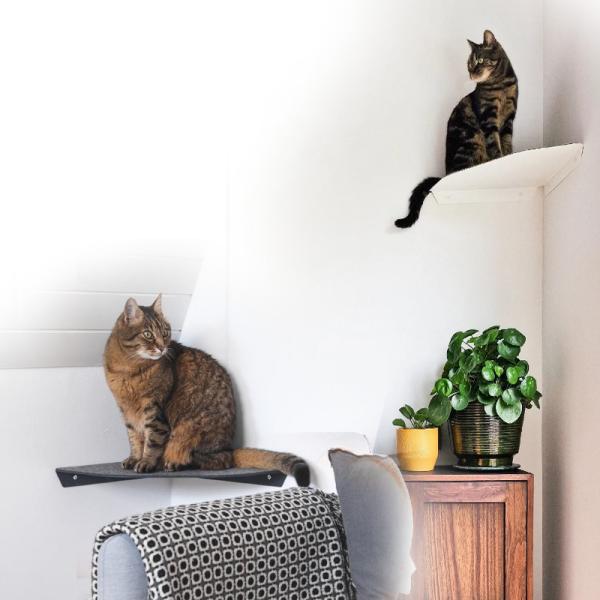 Prateleira de gato montada na parede Assento de quarto de gato de metal moderno com instalação pré-perfurada