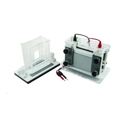 120 Ml Electrophoresis Gel Tank 120 × 145 Gel Size Safe Operation Design