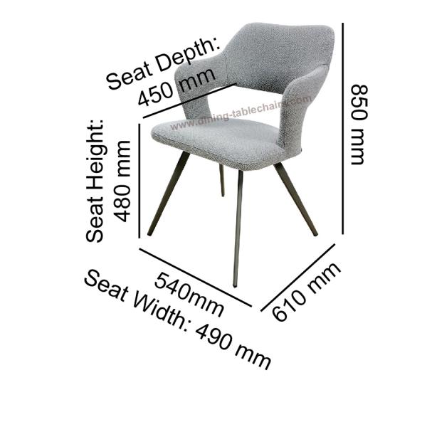 Leisure Modern Living Room Chairs