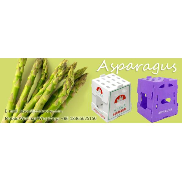 Коробка сота ящиков для хранения Корфлейт брокколи рифленая для плодов