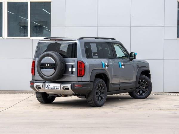 Automatique personnalisé à grande vitesse Grand espace extérieur 5 portes 5 places SUV EV Nouvelle voiture