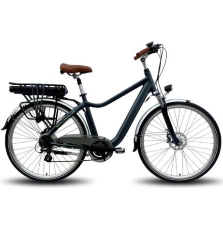 700C Wheel Portable Electric Bike Folding Non Battery Operated Bicycle