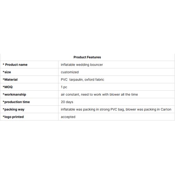 Commercial White Inflatable Bouncer Castle with Slide 0.55mmPVC