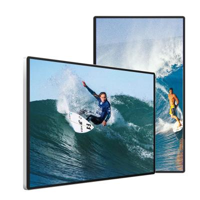 PAL Digital 178 H LCD Advertising Display 1073.78×604mm