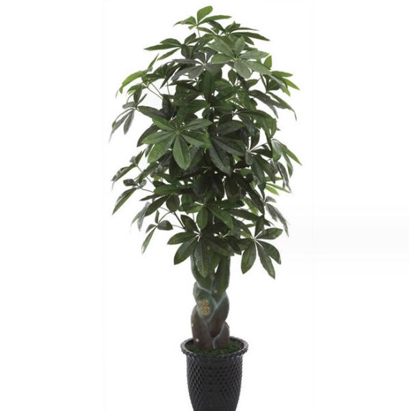 Decoração interna do Office Home da árvore falsificada em pasta artificial do dinheiro da árvore das plantas