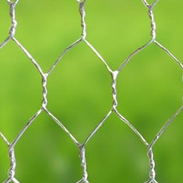 1/2 Hex Chicken Wire Mesh Manufacture Factory Netting