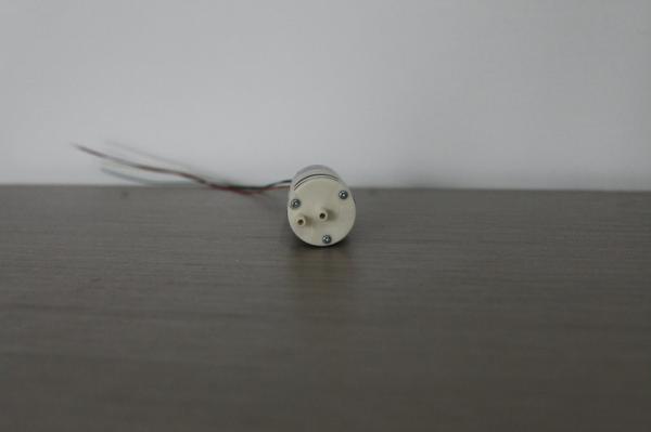 Brushless DC Micro Air Pump