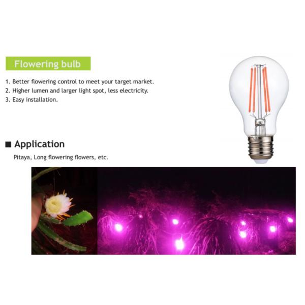 A60 Pink White LED Plant Grow Lights 660nm 8w Filament LED Bulb