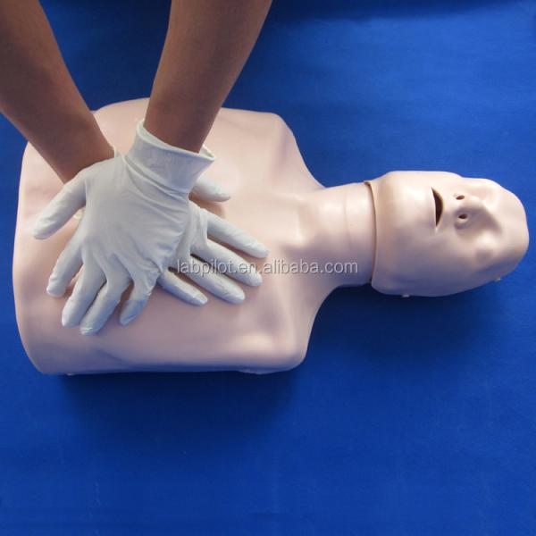 Half-body CPR Training Manikin The Perfect Addition to Your Emergency Skills Teaching