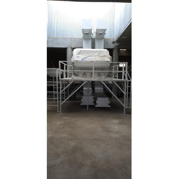 Многофункциональные самые новые фасоли почки программного обеспечения красят сортировщицу цвета фасолей сортируя машины