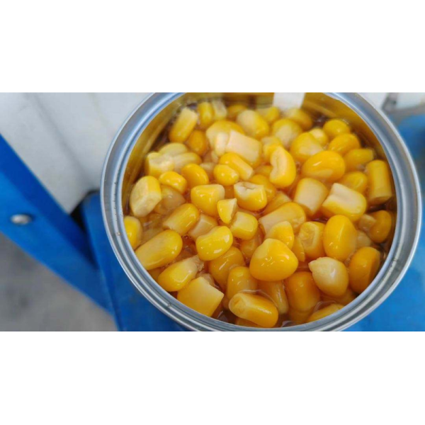 Wholesale Quality Fresh Cut Whole Kernel Sweet Fresh Corn Packaging Buy Sweet Corn Bulk Corn Canned
