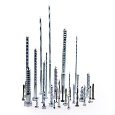 DIN571 Customization Hex Wood Screws Stainless Steel Material