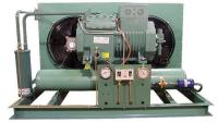 unidades de refrigeração do armazenamento frio da unidade 4DES-5Y 5HP do compressor da refrigeração de 220V 50Hz