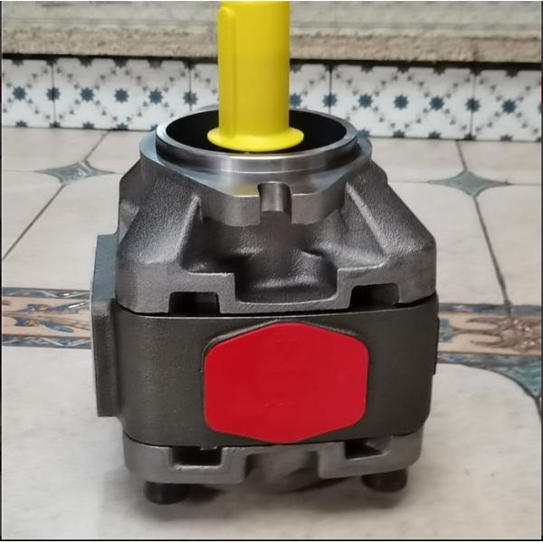 Rexroth High Pressure Quantitative Hydraulic Gear Pump with 280 bar Pressure Rating and Flange Mounting