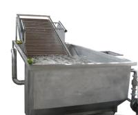 Lavadora automática llena de la burbuja del equipo de proceso de fruta que practica surf