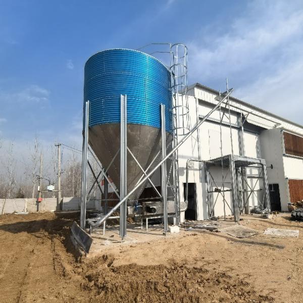 Diseño de ahorro de espacio de alto rendimiento de las jaulas de capas totalmente automáticas tipo H para granjas modernas