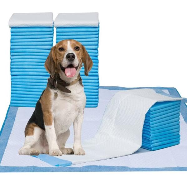 5-Ply Pet Training Pad with Super Absorbent SAP Material, Leak-Proof PE Backing, and Quick Dry Surface for Dogs and Cats