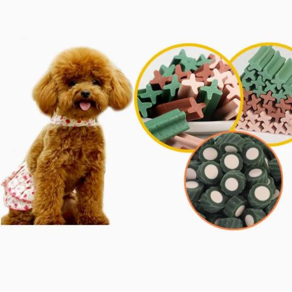 100KW PET Chews Dog Treat Maker Machine Molding Machine Stainless Steel