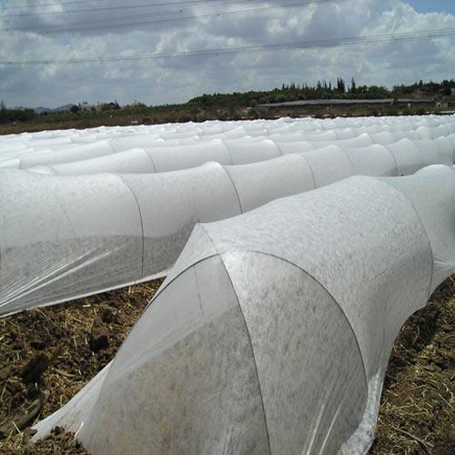 Peso leve branco da tela do controle de ervas daninhas da vegetação rasteira não tóxico para árvores de fruto