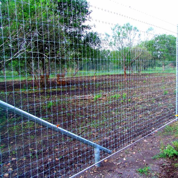 HT13/190/15 High Tensile 190cm X 100m Galvanized Steel Deer Fence Twill Weave