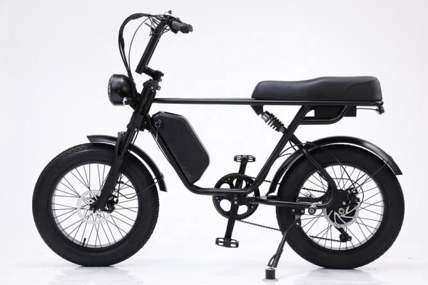 48V 750W Motor Electric Hybrid Bike Full Suspension 20 Inch Fat Tire Ebike  17Ah Battery