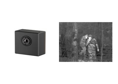 Módulo térmico Uncooled da câmara de segurança de LWIR 256x192/12μm