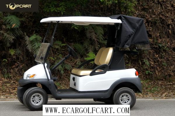 High End 2 Seater Golf Cart , Electric Powered Golf Carts With Rear Cover