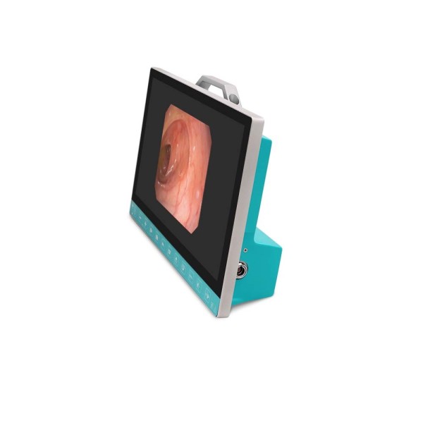 TUYOU 13.3-Inch FHD Flexible Endoscope Camera System Multi-Color OEM Custom All-in-One Portable Uro-Gyn TikTok Hit